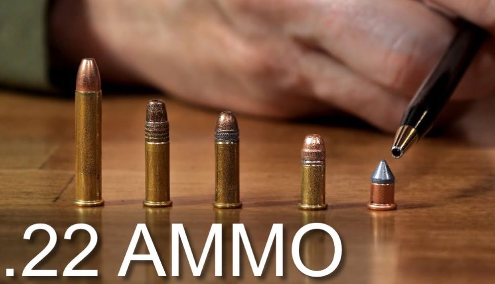 Unveiling the Mystery: How Far Can a .22 Bullet Travel?