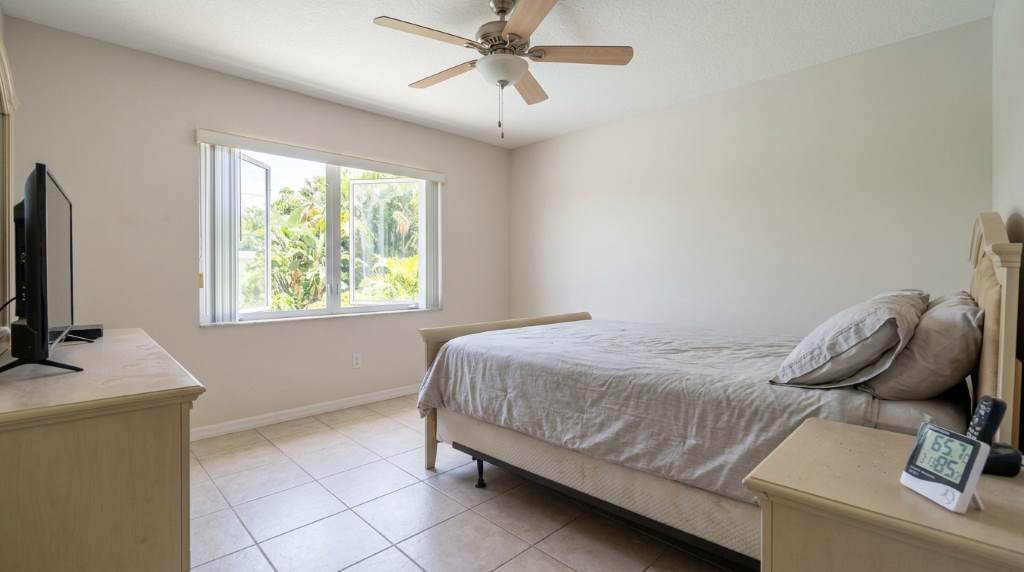 How to Stop Dust Mites From Spreading in Tampa, FL
